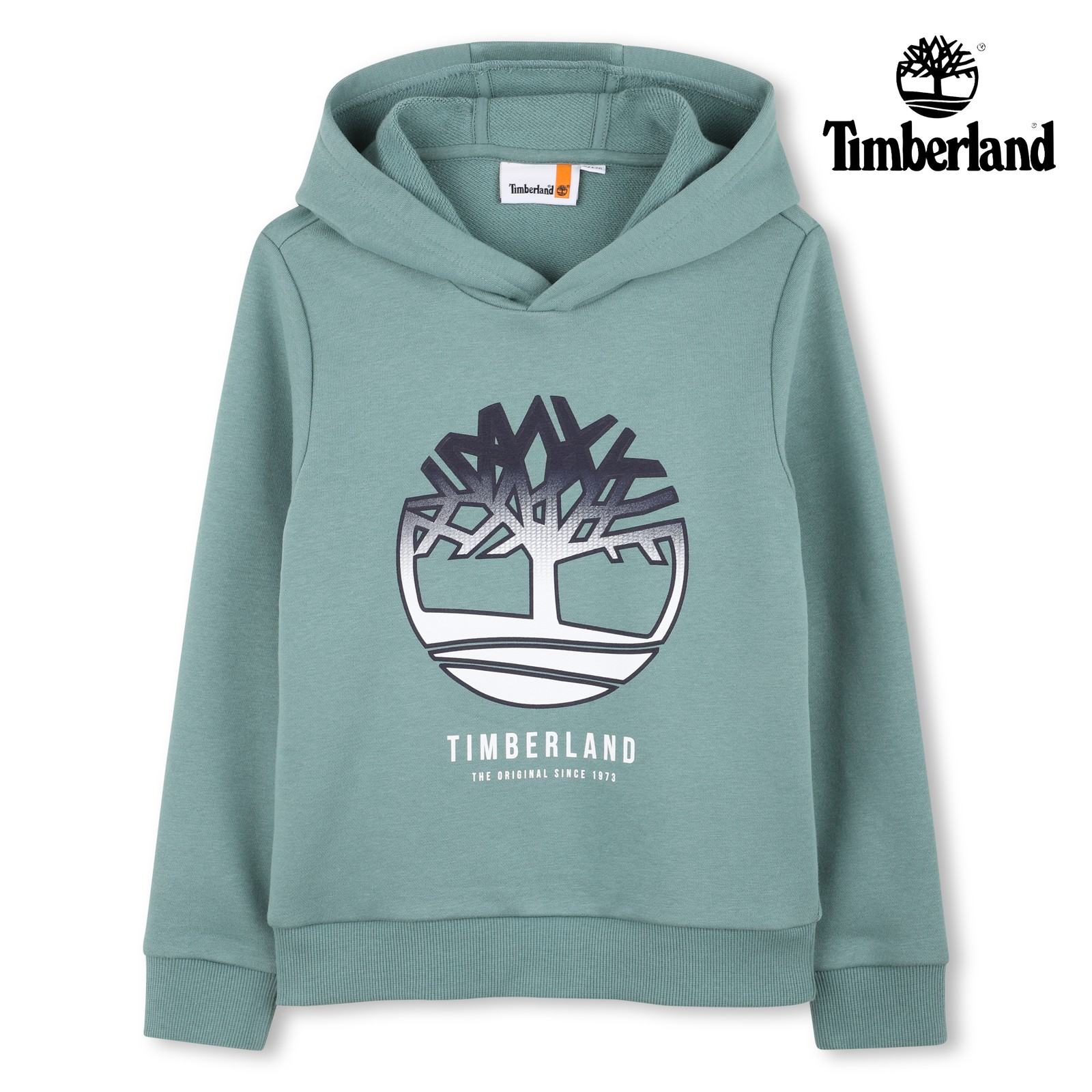 SUDADERA CON CAPUCHA verde pino
