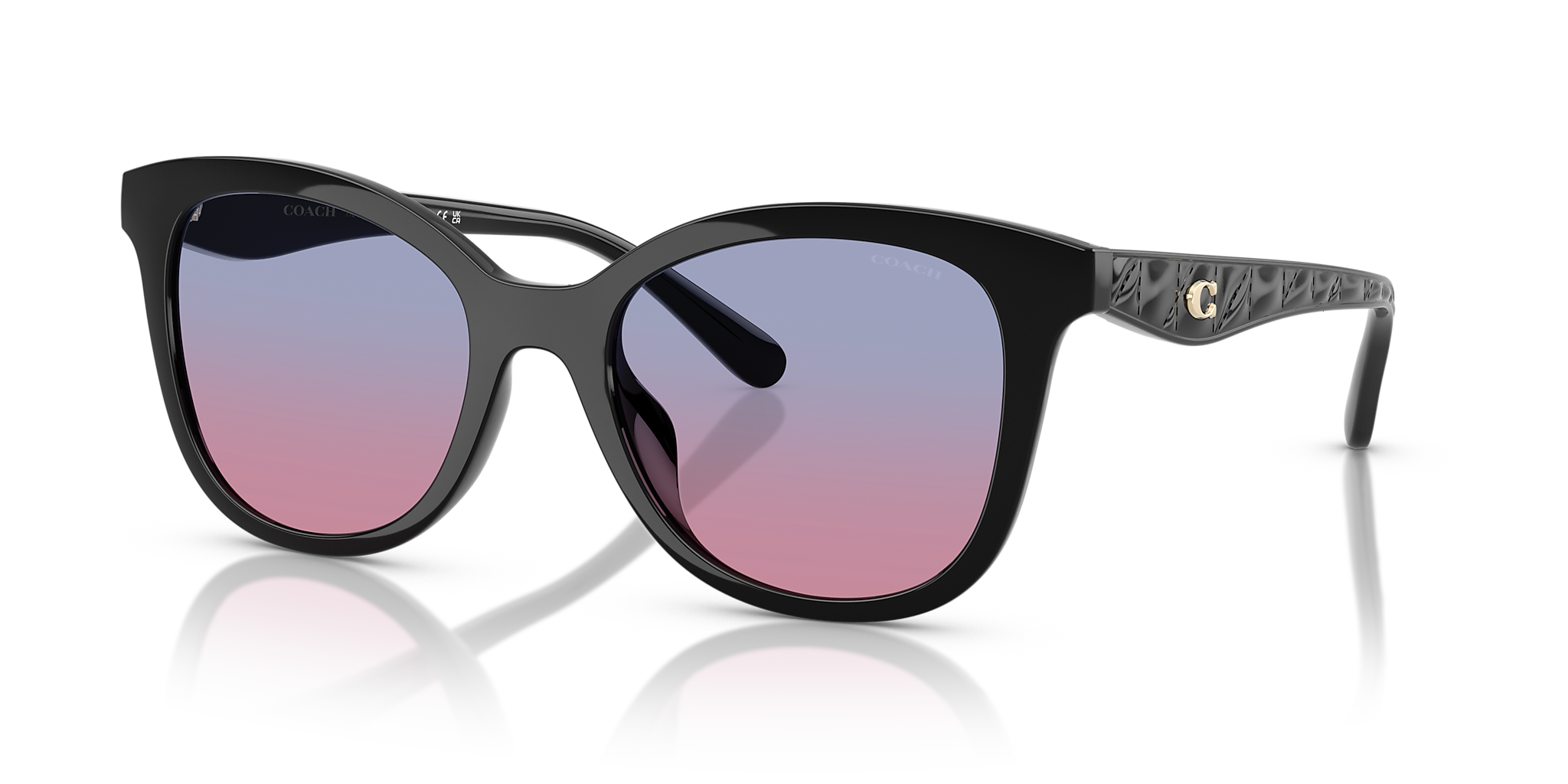 Coach CAD25